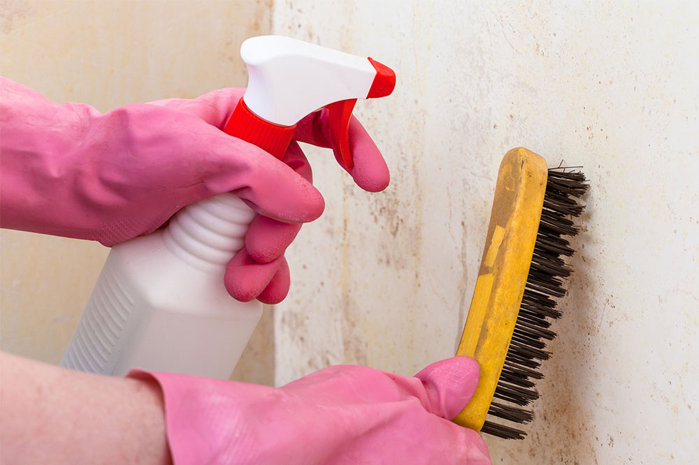 Effective Strategies for Eliminating Black Mold