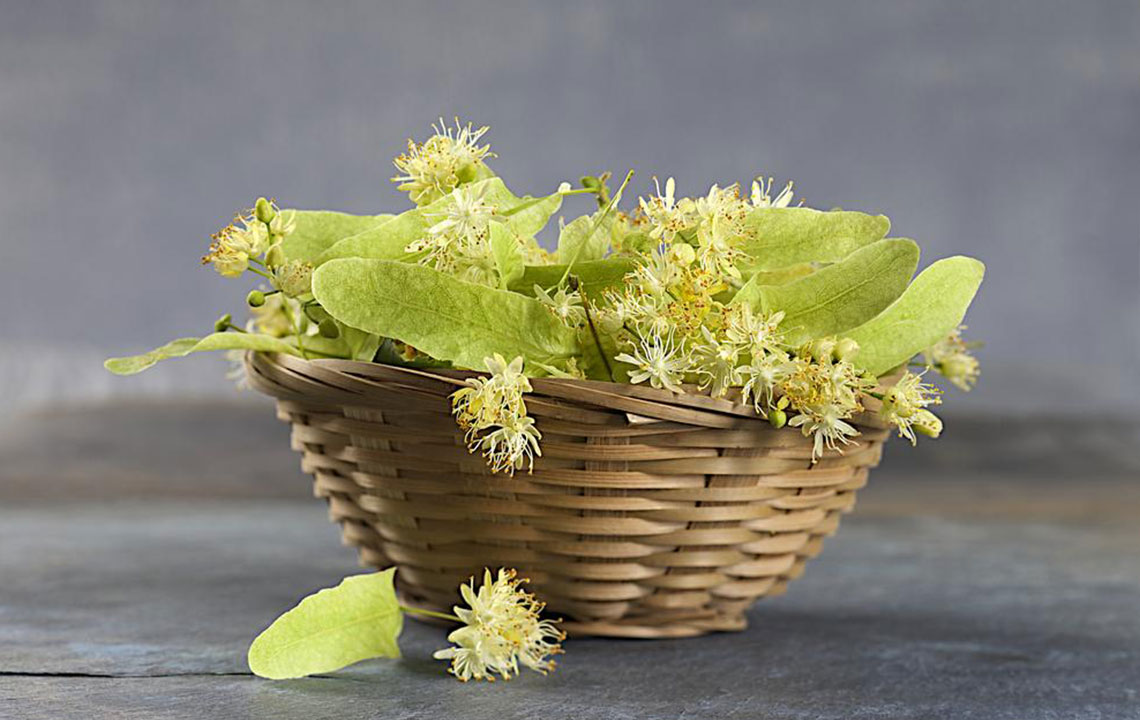 Essential Guide to Top Treatments for Gout Relief