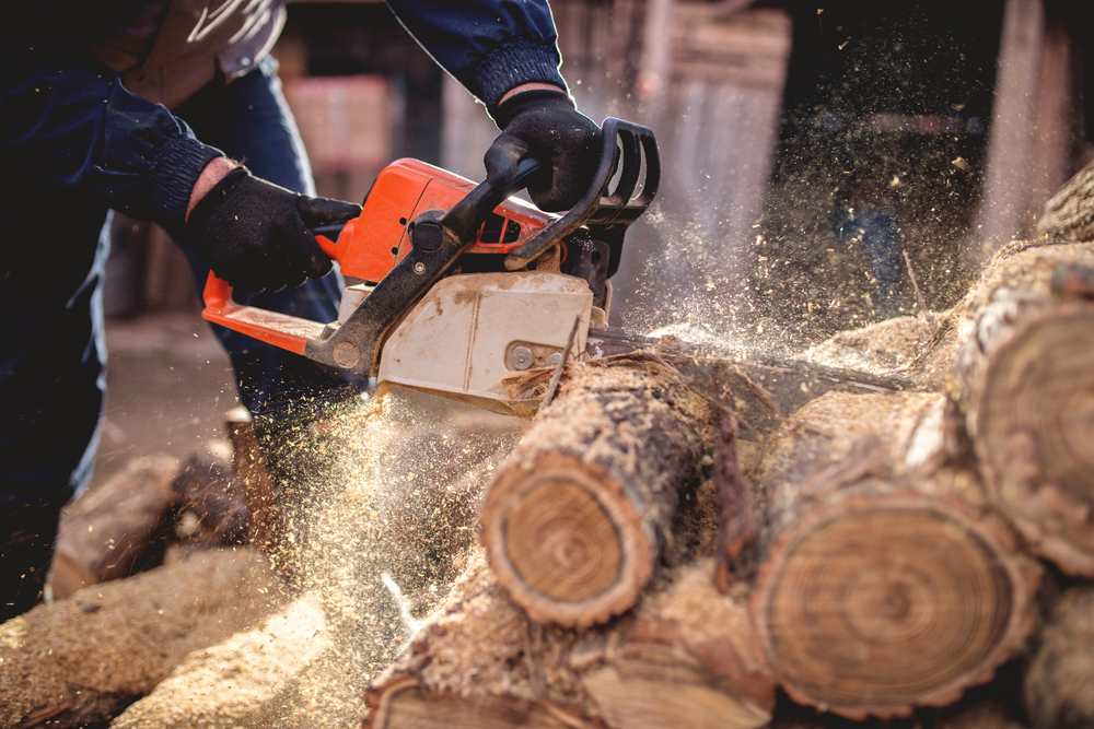 Your Complete Guide to Purchasing the Perfect Chainsaw