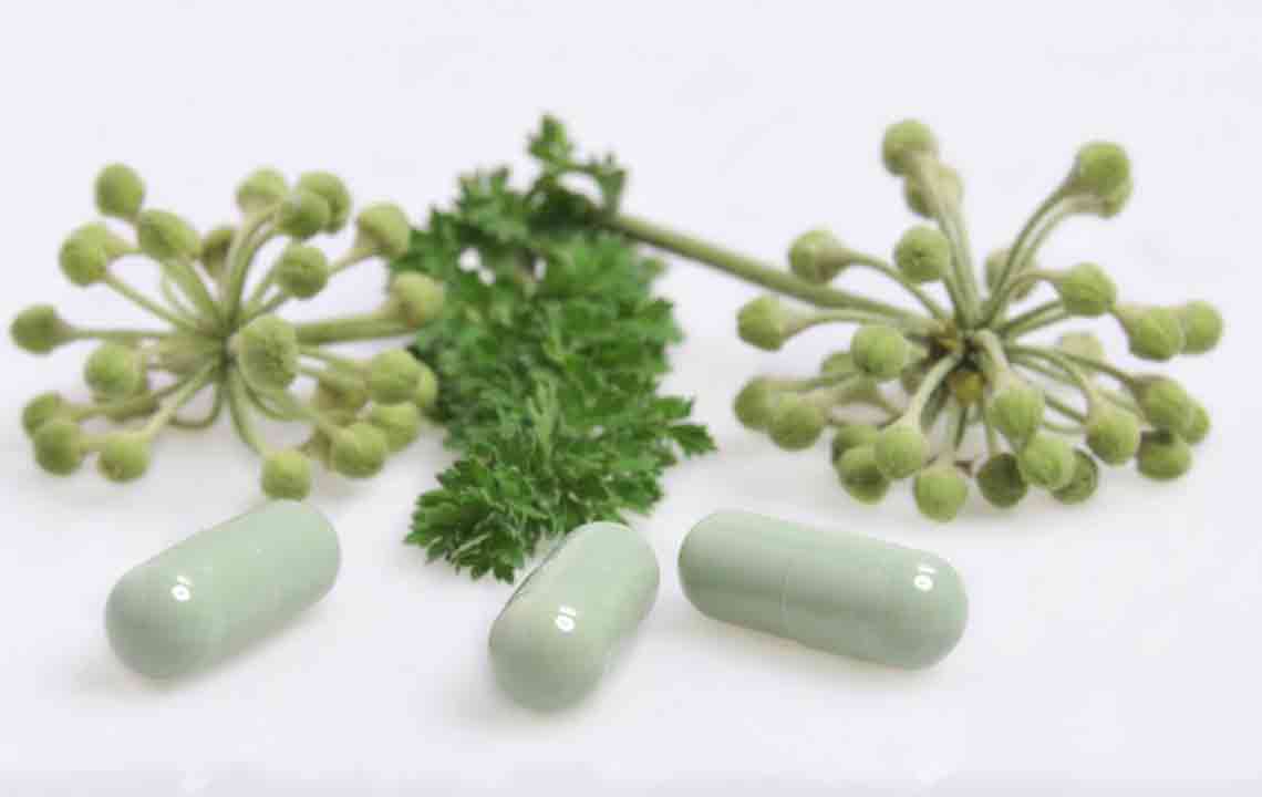 Essential Tips for Selecting Natural Thyroid Support Supplements