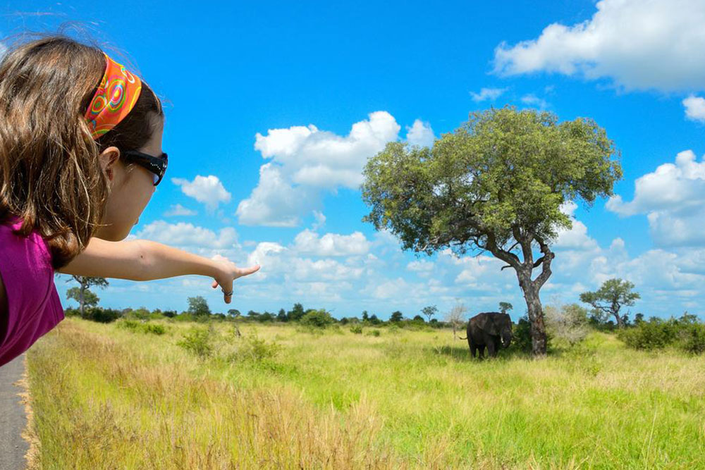 Top 4 South African Tour Agencies You Should Know