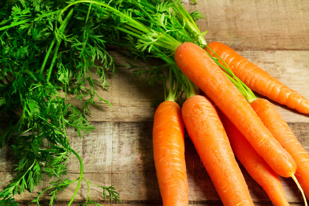 Top 4 Human Foods Safe for Cats to Enjoy