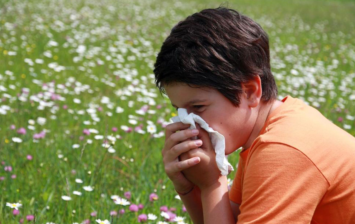 Top 5 Natural Foods to Alleviate Pollen Allergy Symptoms