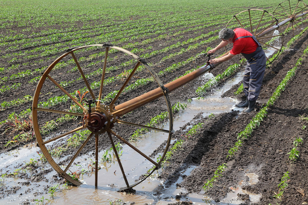 Comprehensive Guide to Garden Irrigation Methods and Maintenance Tips