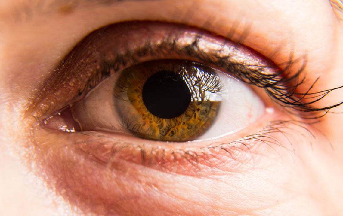 Top Foods to Boost Eye Health and Vision Clarity