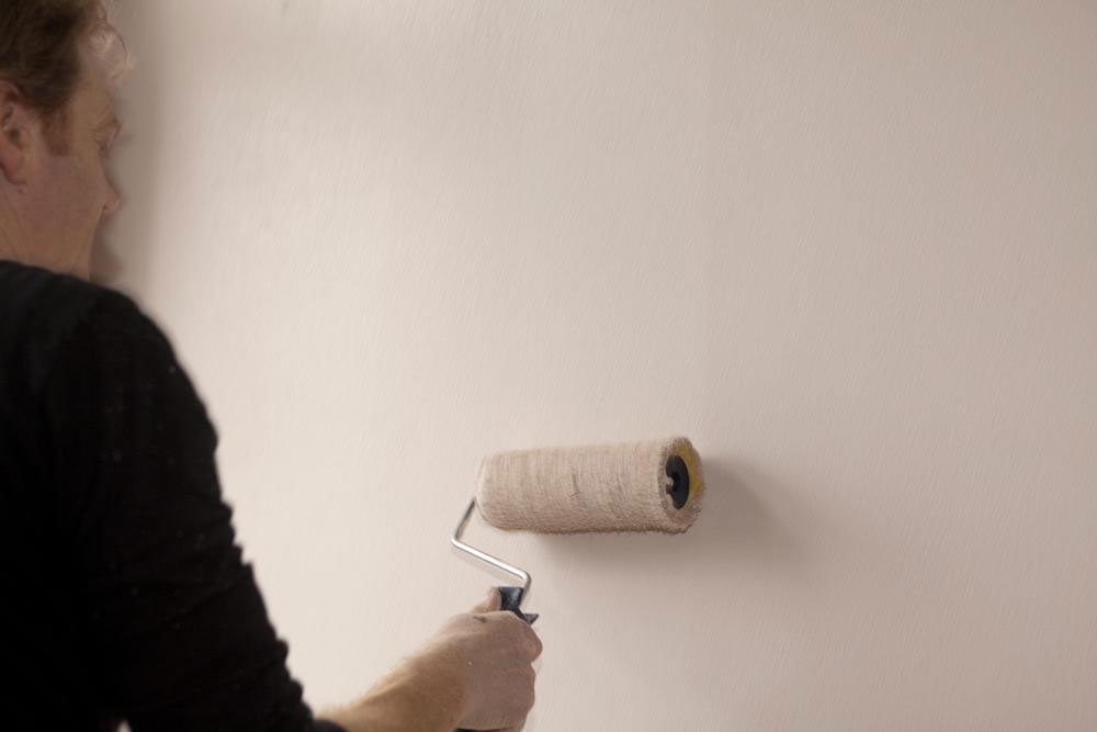 Choosing the Perfect Interior Paint Primer: Essential Tips
