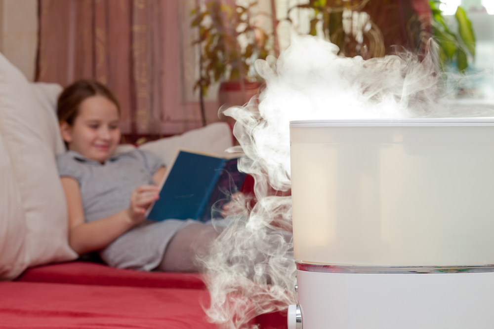 Essential Questions to Consider When Selecting an Air Purifier