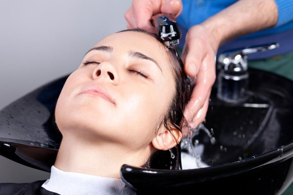 Wen Hair Care Collection: Natural Products for Healthy Hair