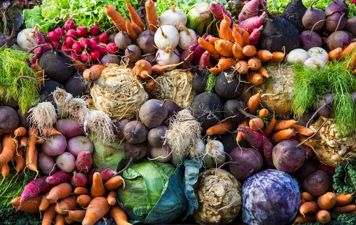 Boost Brain Function and Memory with Essential Nutrients