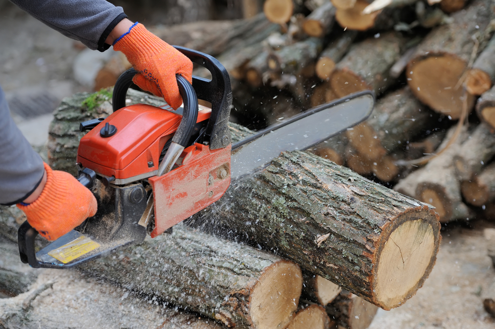 Best Chainsaw Brands for Quality and Performance