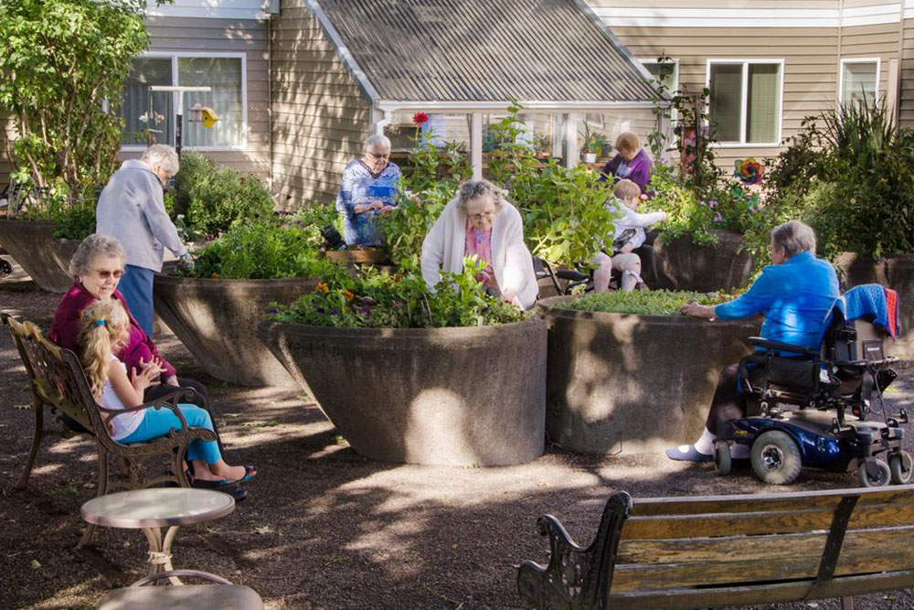 Guidelines for Selecting the Perfect Assisted Living Community for Your Loved One