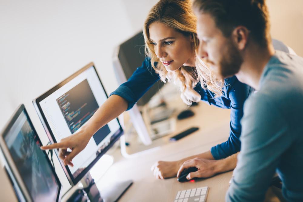Exploring Career Paths After Learning Software Development