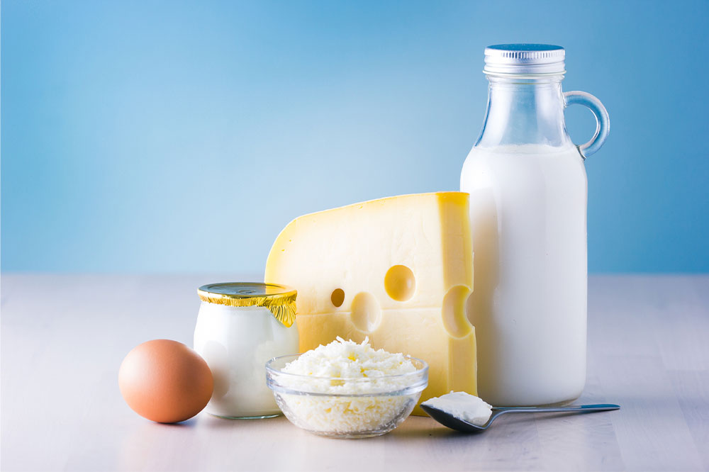 Comprehensive Guide to Dairy and Egg Nutrition