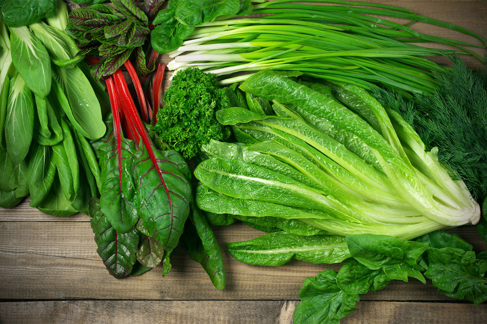 Essential Nutrients and Foods to Promote Kidney Health and Function