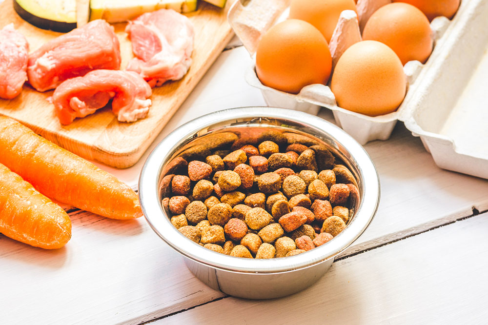 Nutritional Tips for Managing Diabetes in Pets