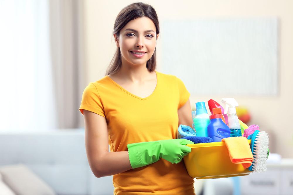 Different Categories of Bathroom Cleaning Products