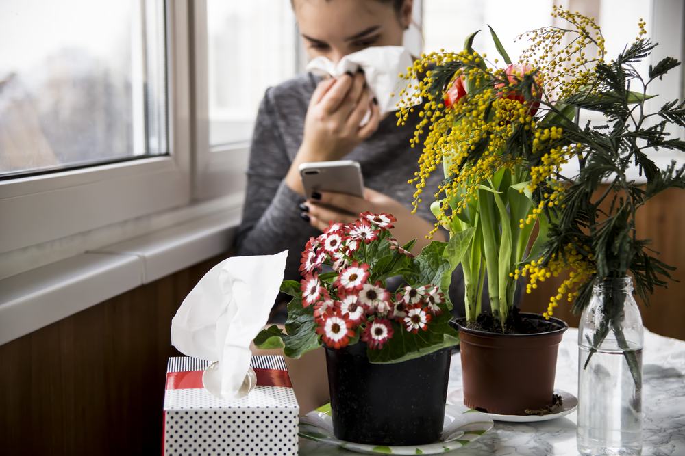Understanding Ragweed Allergies and Effective Management Strategies