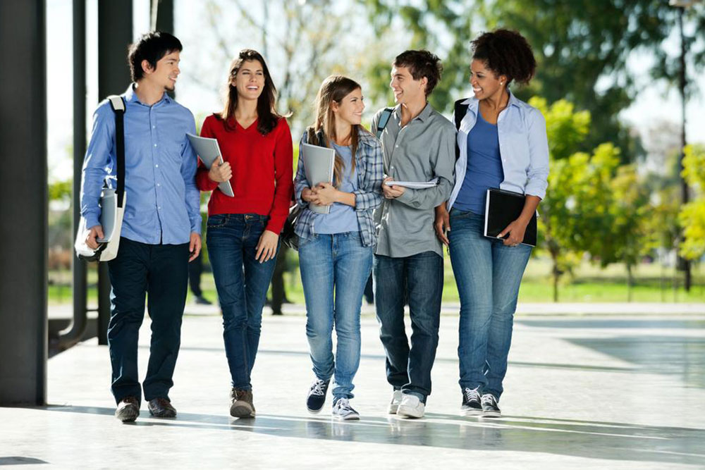 Essential Insights on Student Loan Forgiveness Options