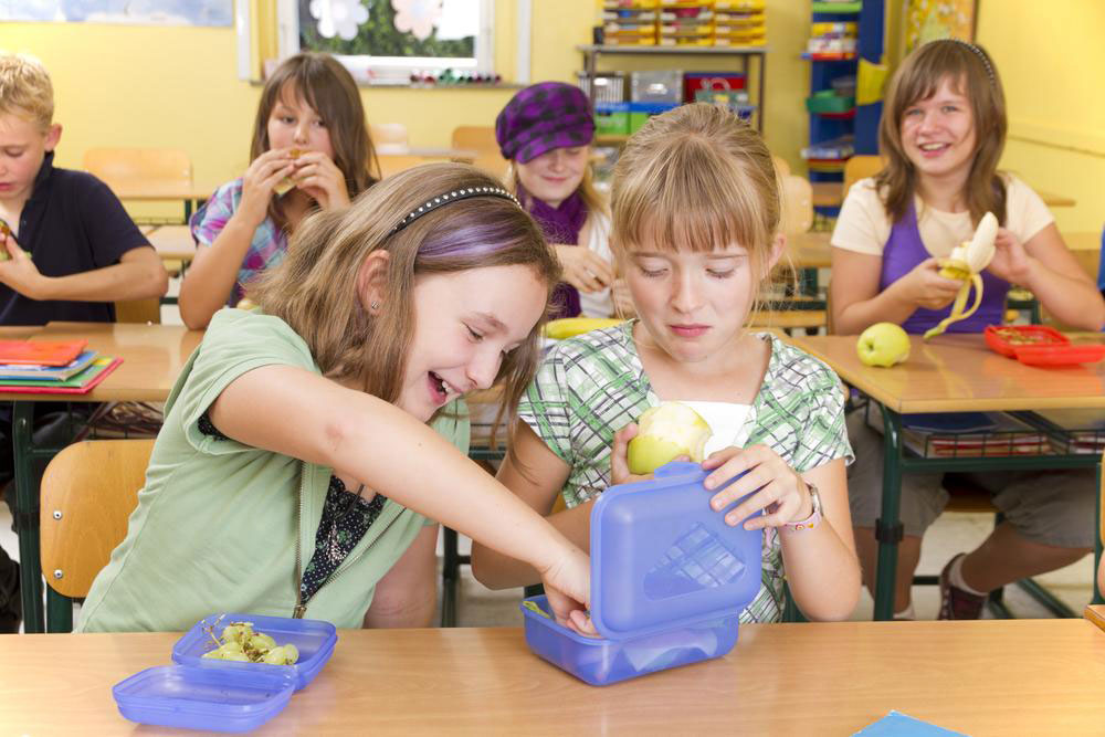 Healthy and Delicious Snack Ideas to Brighten Your Kids' School Lunches
