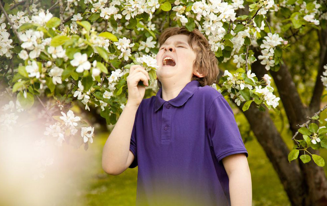 Effective Strategies to Alleviate Children's Allergies