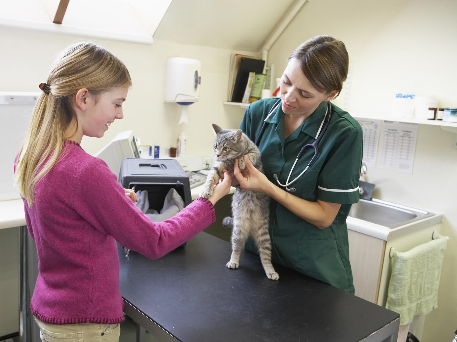 Pet Insurance: Key Facts About Vaccination Coverage
