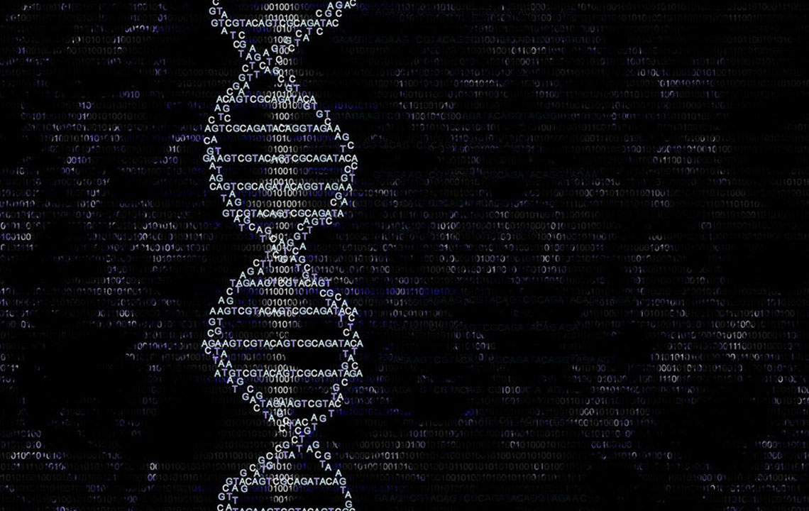 Top Genealogy Platforms to Discover Your Family History
