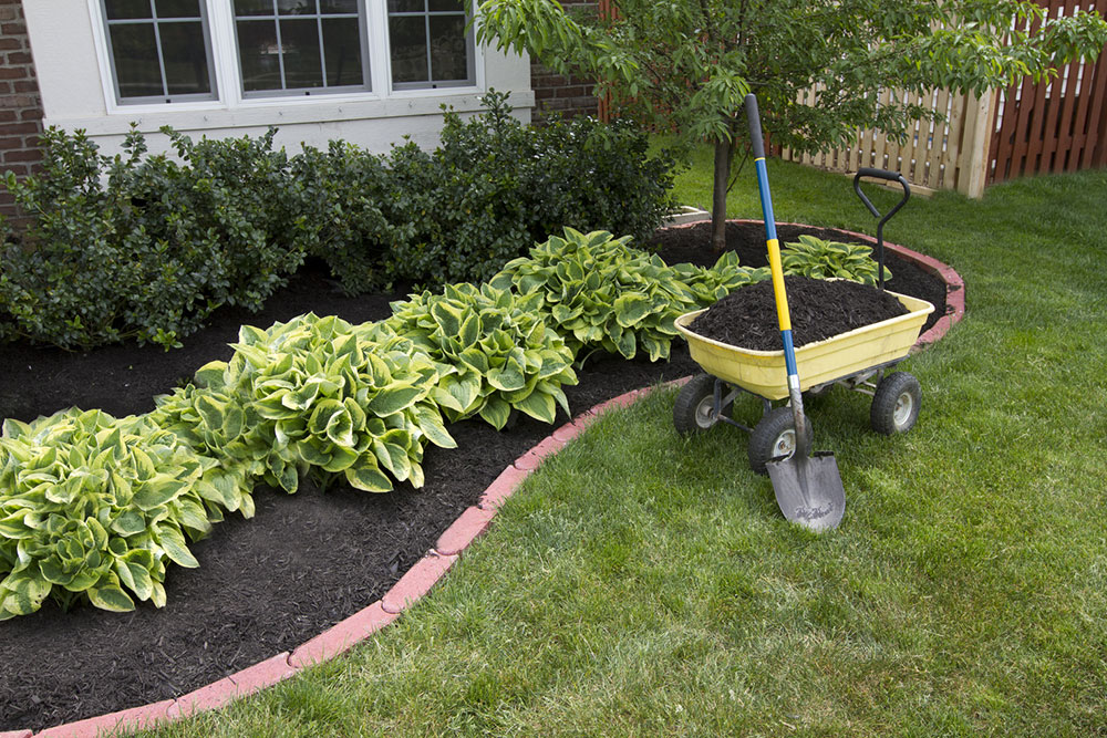 Enhancing Landscaping with the Advantages of Rubber Mulch
