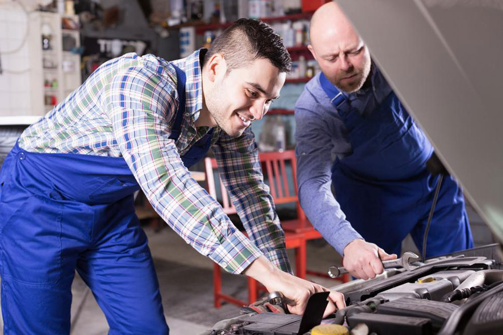 Comprehensive Guide to Dickies Workwear and Apparel