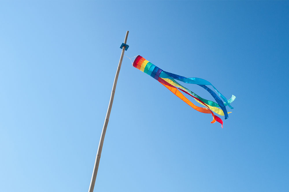 Essential Tips for Choosing Pride Flag Windsocks