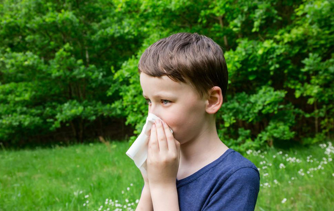 Effective Natural Solutions for Seasonal Pollen Allergies
