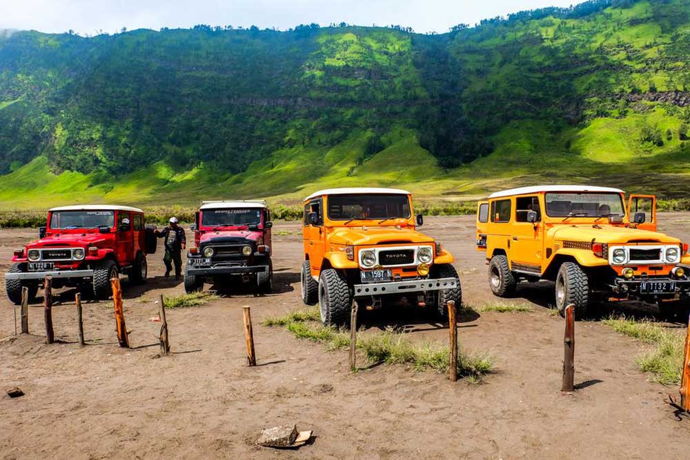 Best 4 Jeep Models Currently Available for Purchase