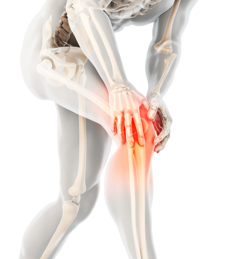 Understanding Joint Degeneration and Bone Loss: Key Symptoms, Differences, and Treatment Options