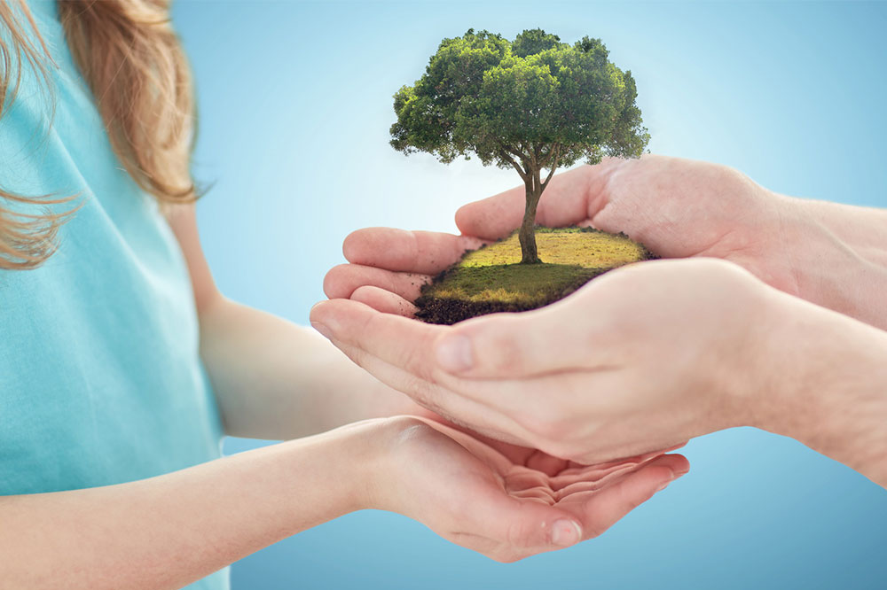 Effective Strategies to Combat Climate Change