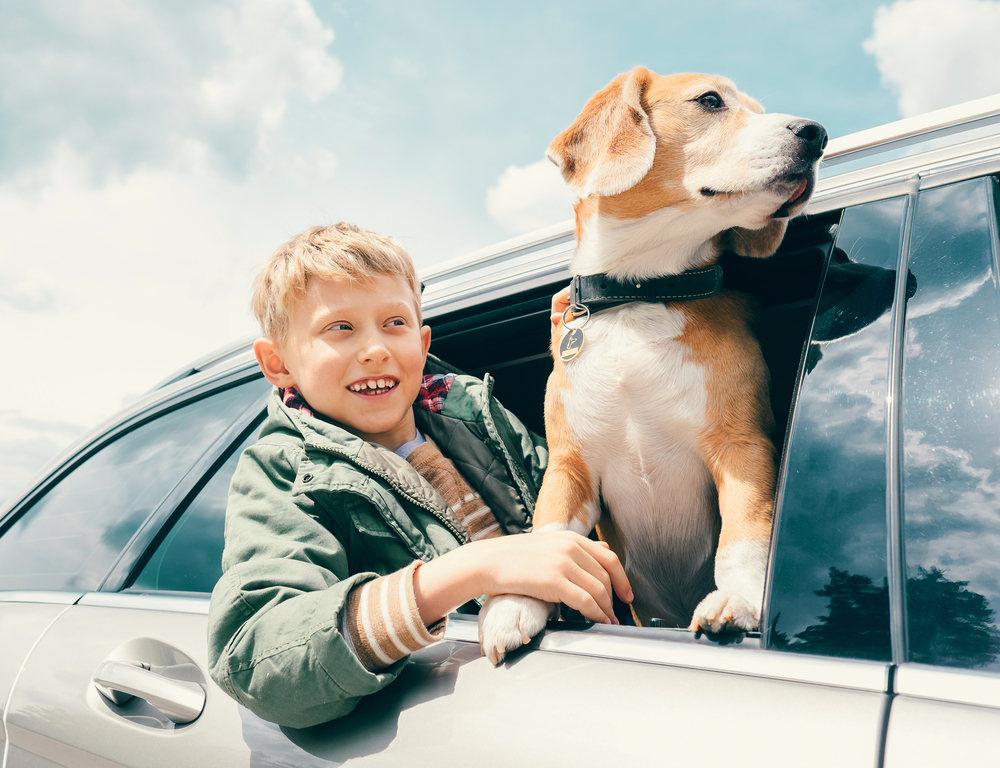 Comprehensive Guide to Pet Insurance: Essential Insights for Pet Owners