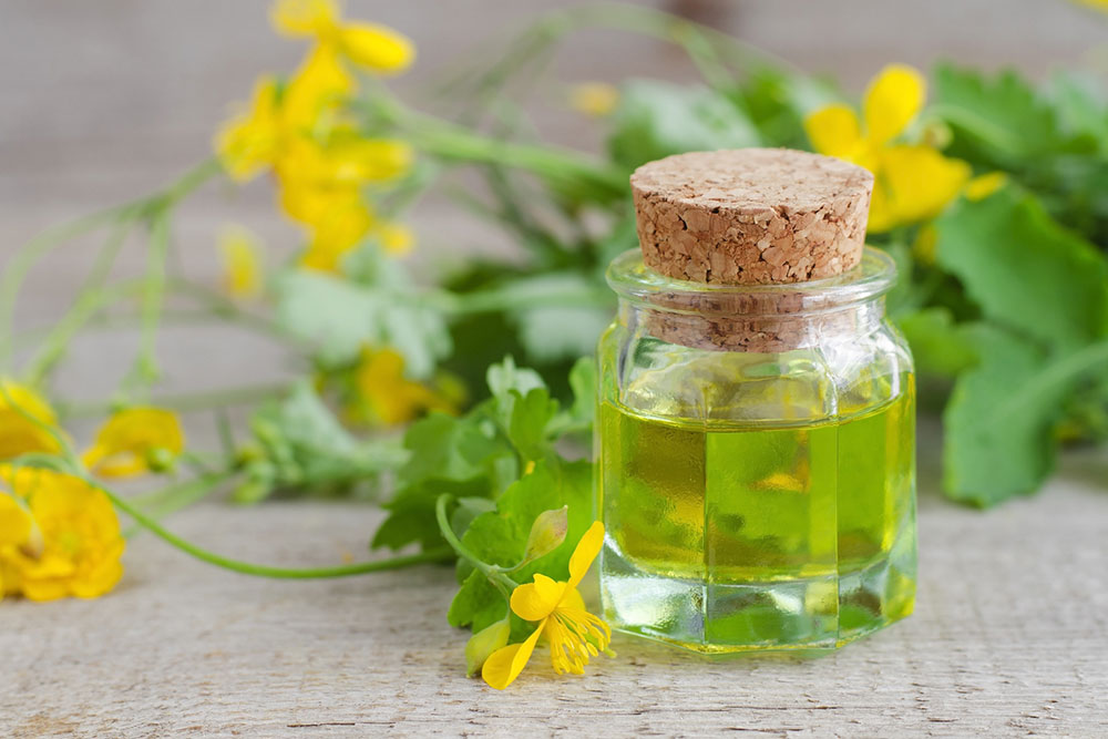 Natural Home Solutions to Combat Hair Loss and Damage