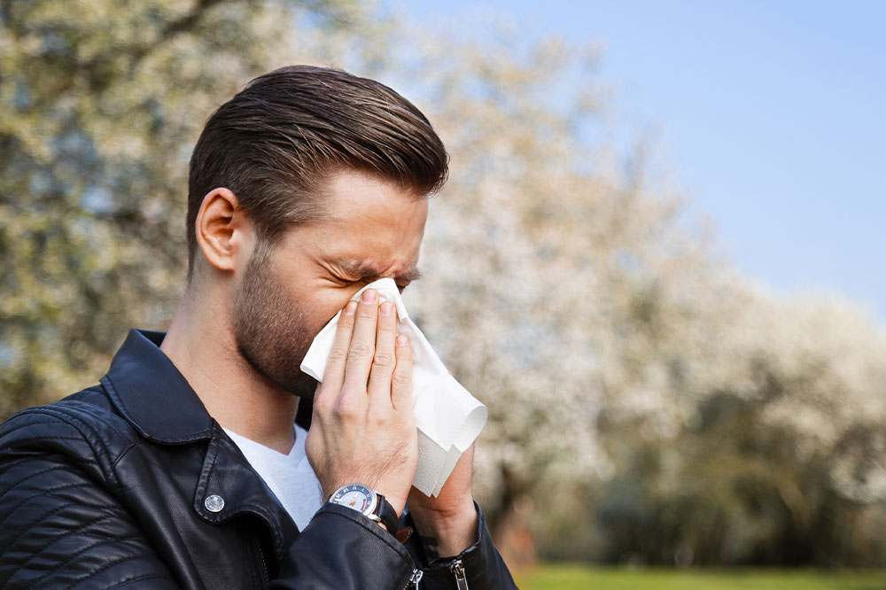 Top 5 U.S. Cities Ideal for Allergy Sufferers to Live Comfortably and Healthily