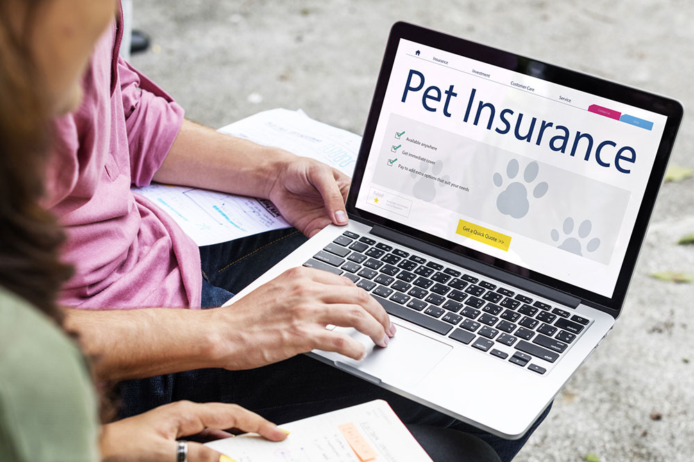 Essential Tips to Choose the Right Pet Insurance Plan