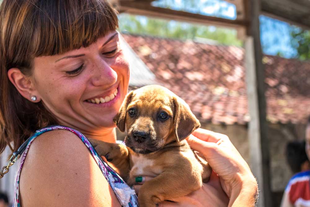 Key Considerations Before Bringing a Puppy Home