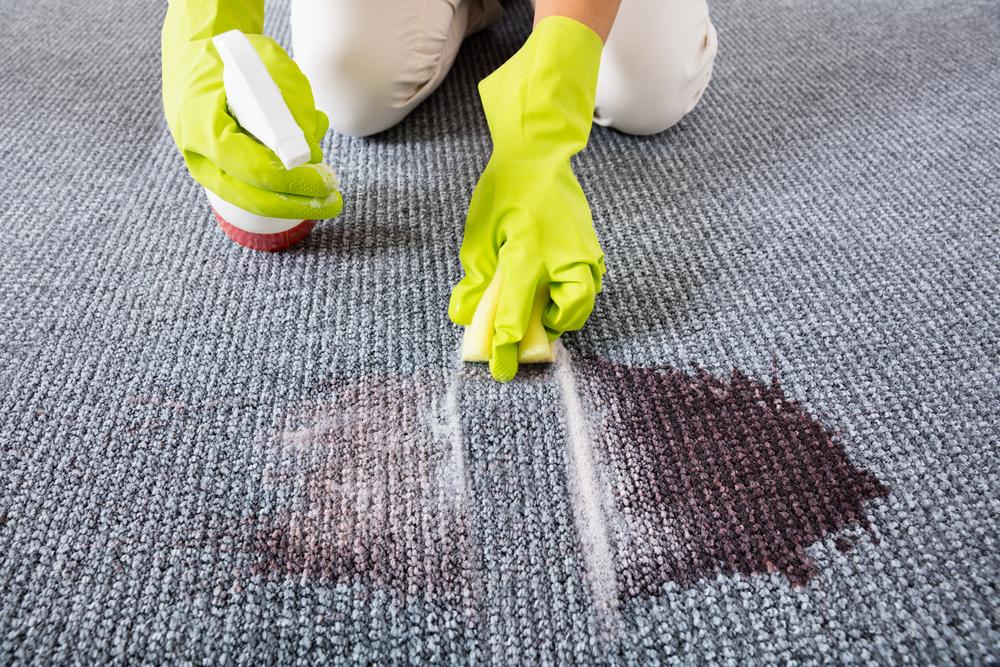 Top Stain Removal Products for Carpets You Should Know