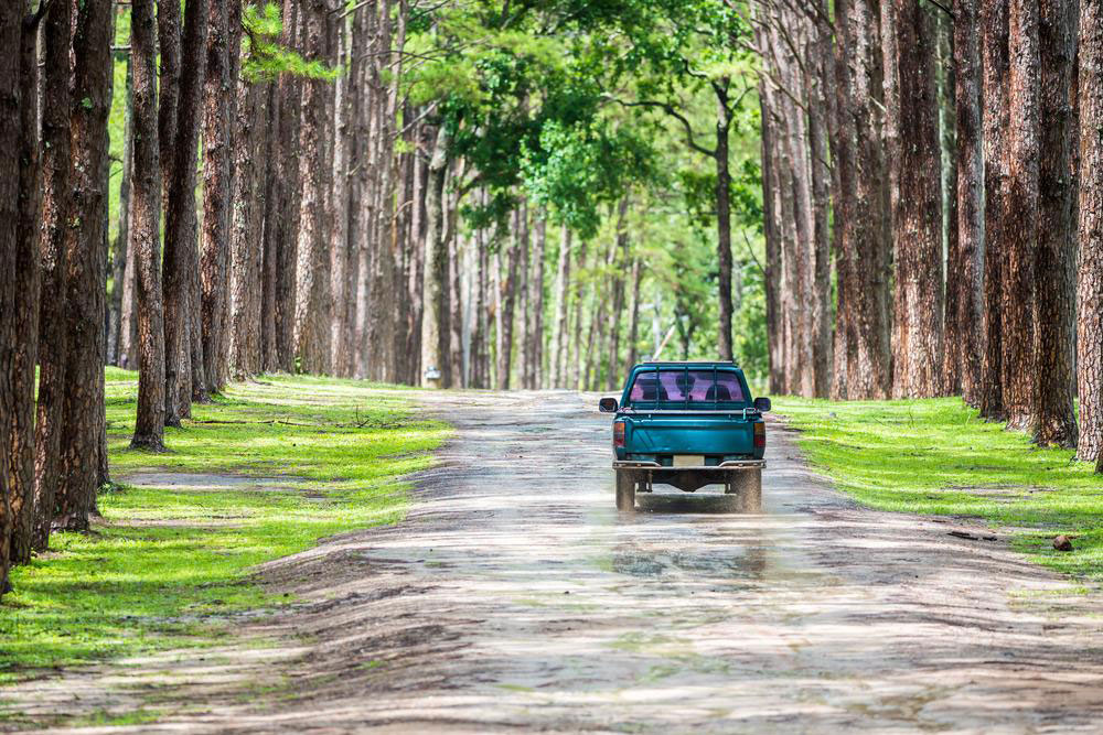 Creative Ways to Maximize the Use of Pickup Trucks