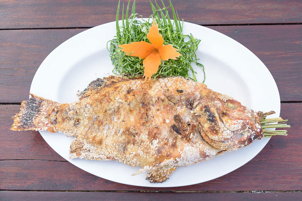Common Food Allergens in Pets and How to Identify Them