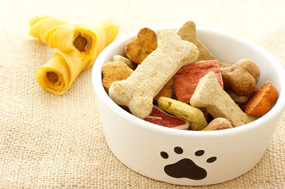 Comprehensive Guide to Protecting Pets from Food Sensitivities and Allergies