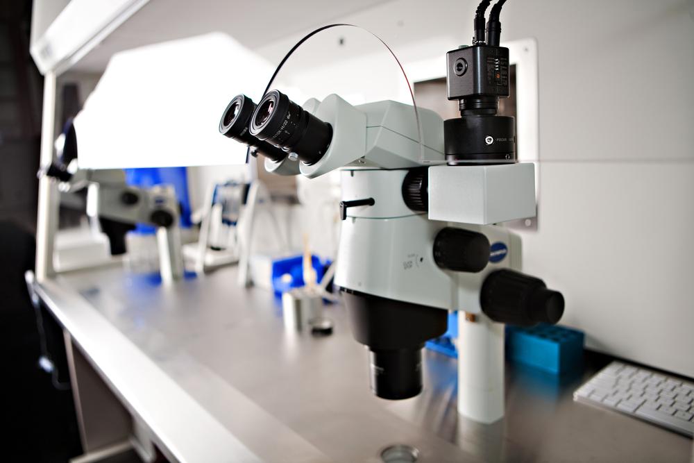Essential Insights on In Vitro Fertilization You Should Know