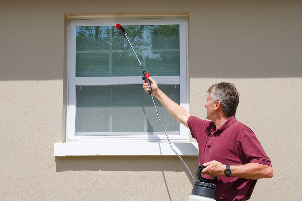 Top Benefits of Hiring Professional Pest Control Services