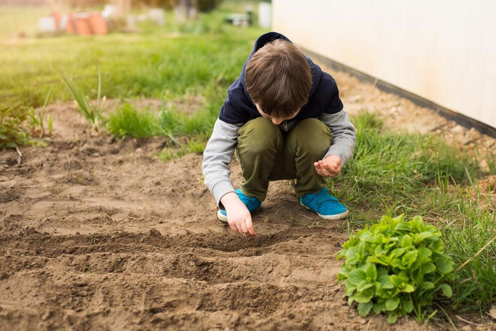 Enhance Your Home and Garden with Expert Tips