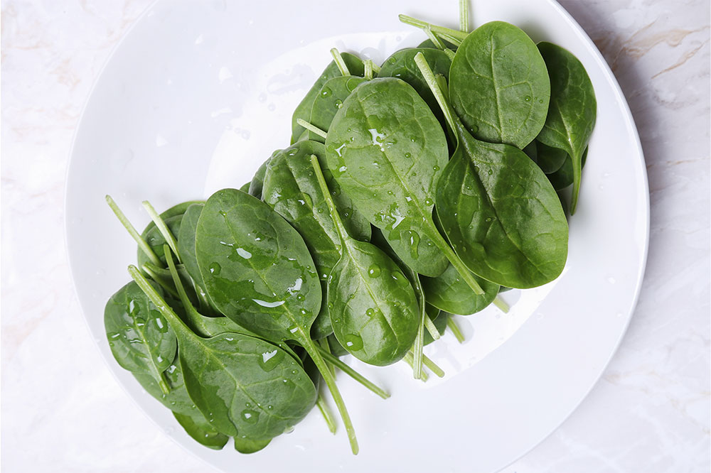 Nutritional Strategies for Managing Hemophilia