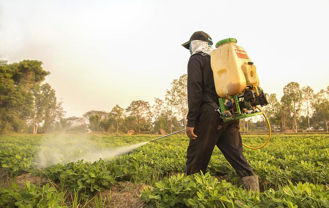 Top 3 Pest Control Companies You Should Know About