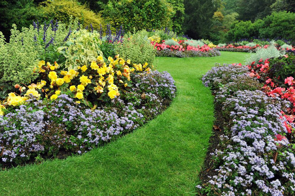 Revitalizing Outdoor Spaces: Innovative Garden Renovation Ideas