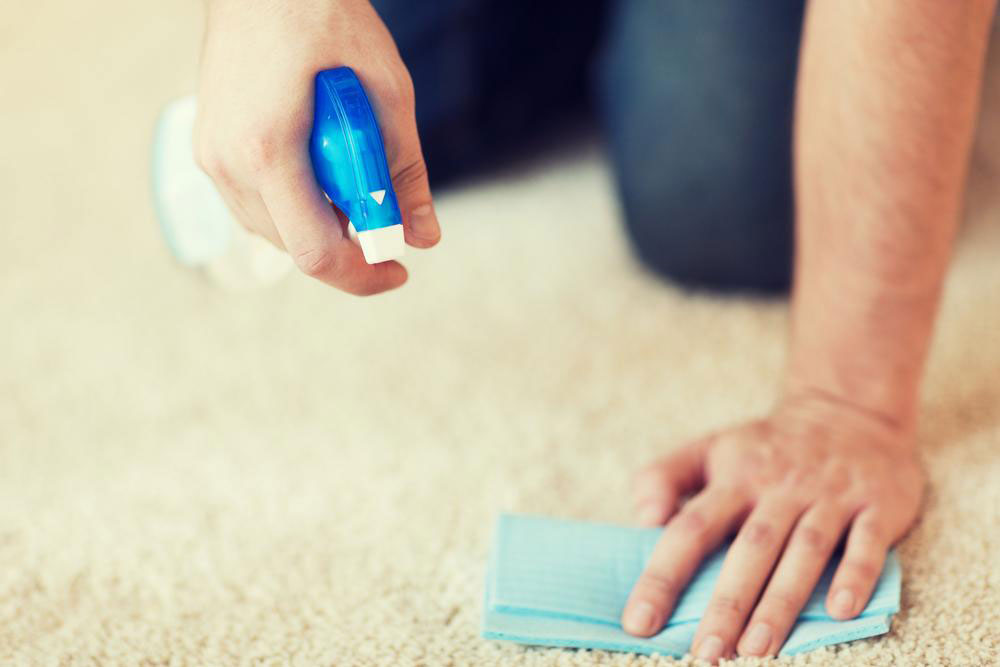 Essential Tips for Choosing the Perfect Carpet