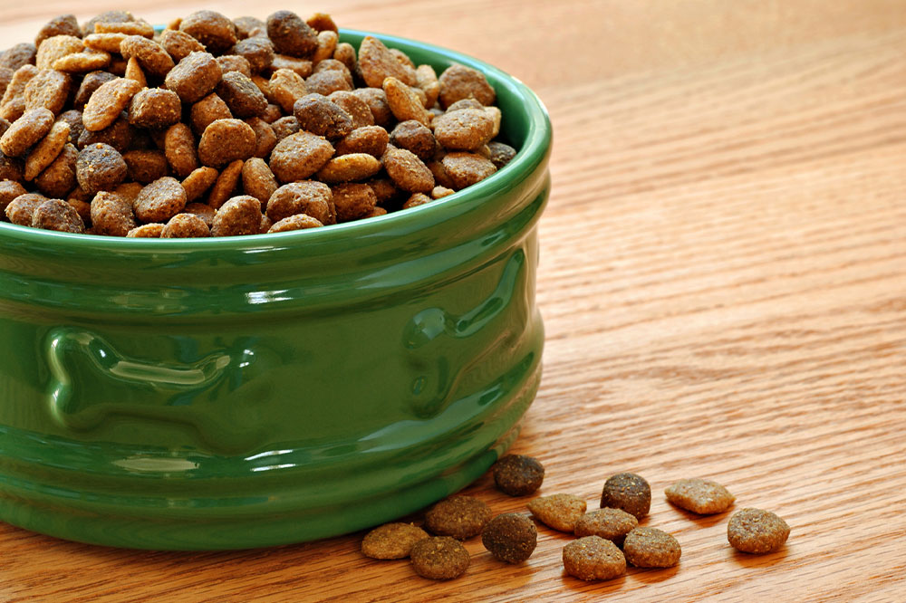 Choosing the Best Dry Food for Dogs